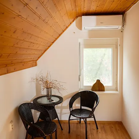 Arboretum Nyaralo - Kuelteri Jakuzzival 別荘 サルバシュ